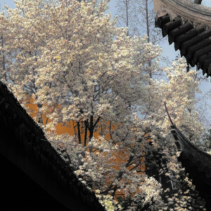 背景图-
