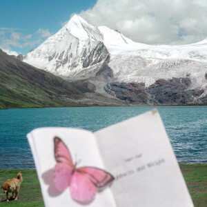 背景图-