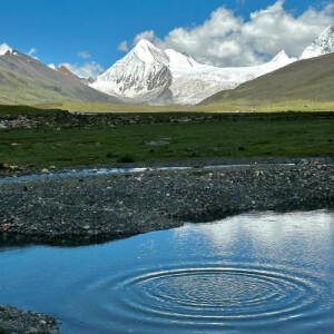 背景图-