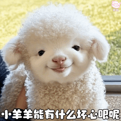 可爱小羊表情包动图