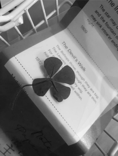 四叶草背景图 灰色系背景图