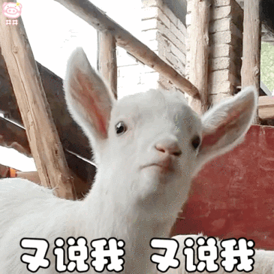 可爱小羊表情包动图