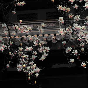背景图-