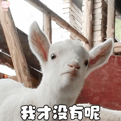 可爱小羊表情包动图