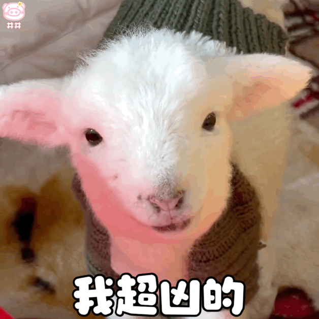 可爱小羊表情包动图