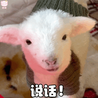 可爱小羊表情包动图
