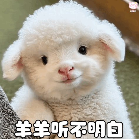 可爱小羊表情包动图