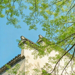 背景图-