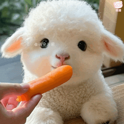 可爱小羊表情包动图
