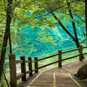 背景图-