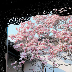 背景图-