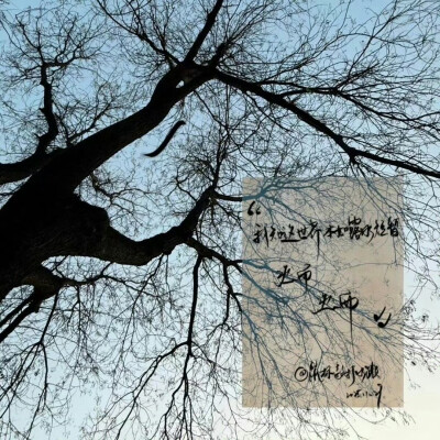 某年某月的某一天