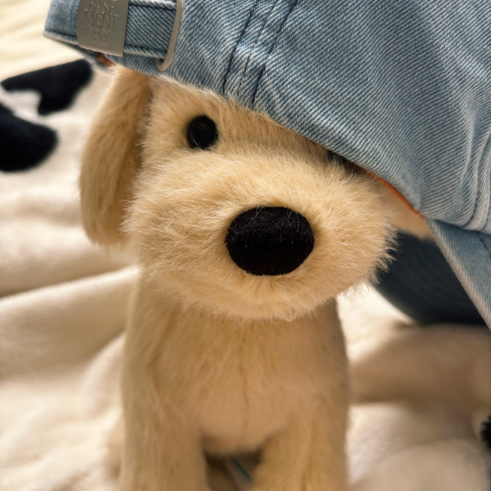 个人喜好 图源各处
侵删