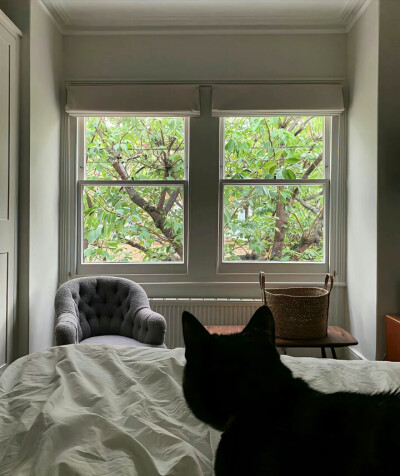 窗景背景图 绿色系背景图