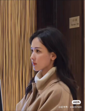 陈都灵