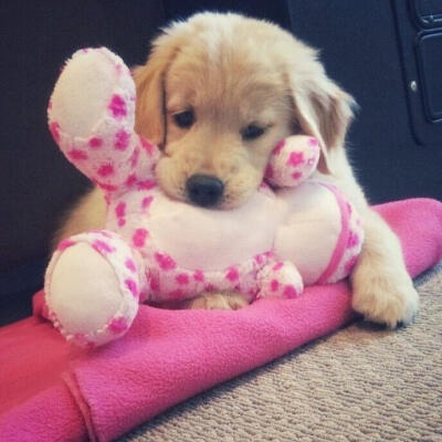 个人喜好 图源各处
侵删