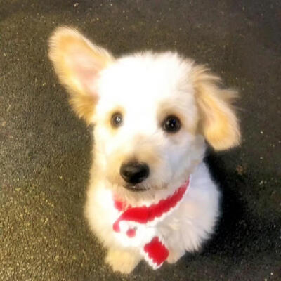 个人喜好 图源各处
侵删