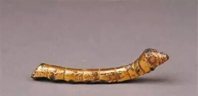 汉代  铜鎏金蚕
陕西历史博物馆藏
