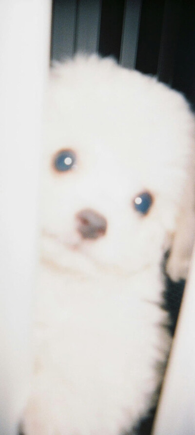 个人喜好 图源各处
侵删