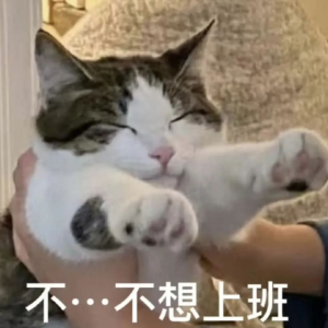 猫猫表情包