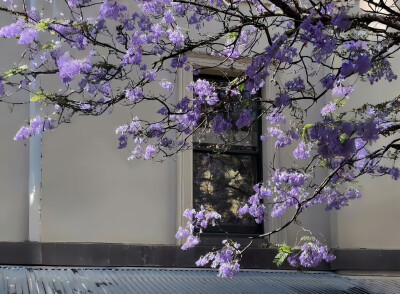 某年某月的某一天