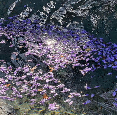 某年某月的某一天