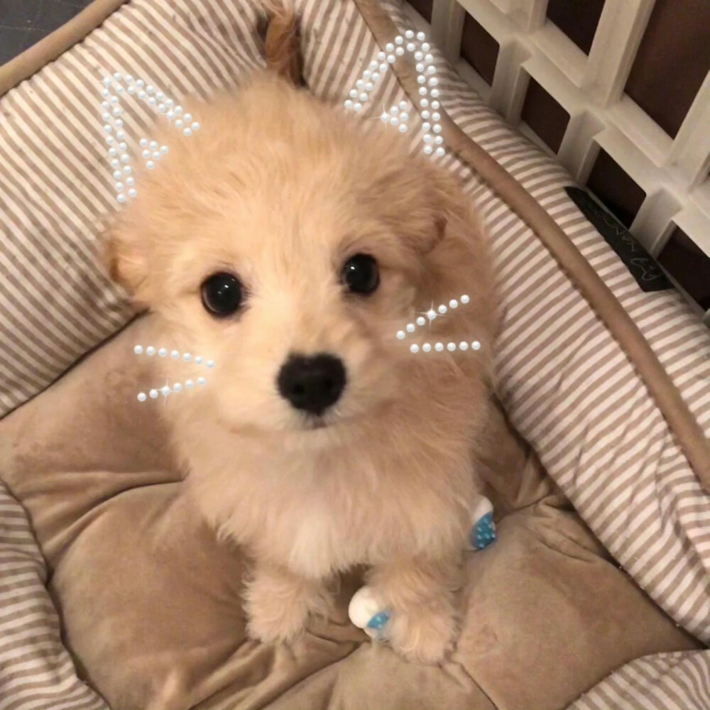 个人喜好 图源各处
侵删