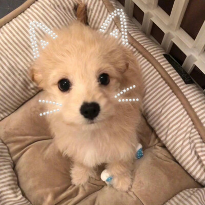 个人喜好 图源各处
侵删