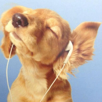 个人喜好 图源各处
侵删