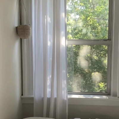 窗景背景图 绿色系背景图