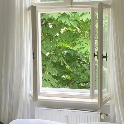 窗景背景图 绿色系背景图