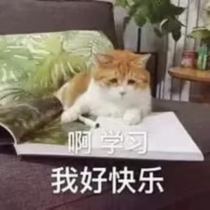 猫猫表情包