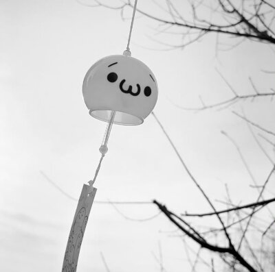 微信头像 朋友圈背景图