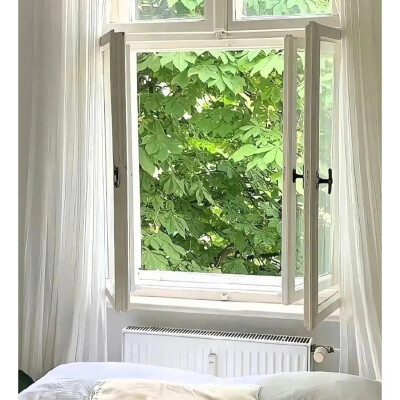 窗景背景图 绿色系背景图