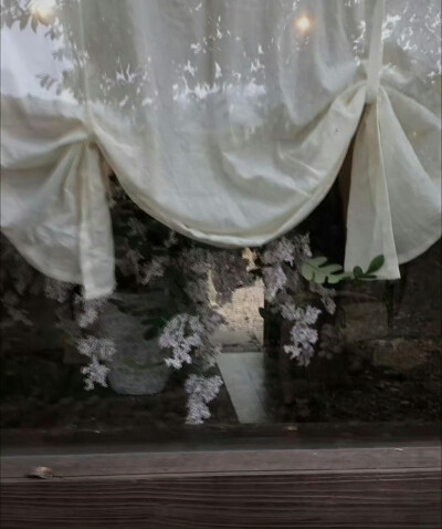 某年某月的某一天