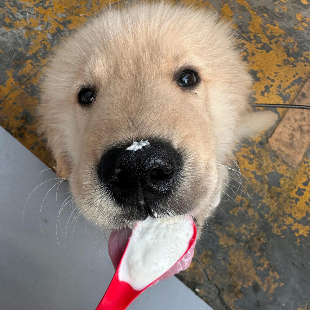 个人喜好 图源各处
侵删