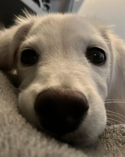 个人喜好 图源各处
侵删