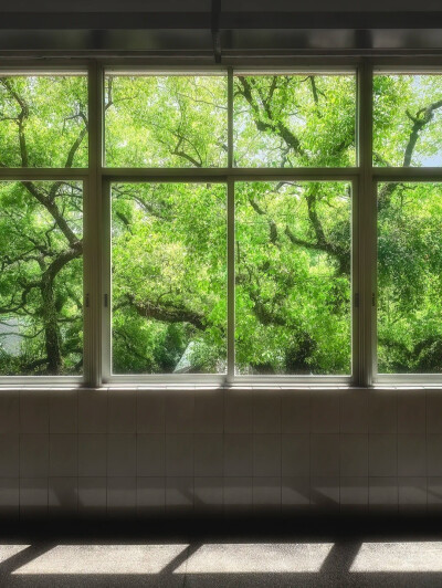 窗景背景图 绿色系背景图