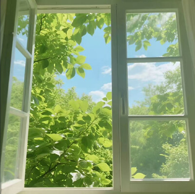 窗景背景图 绿色系背景图