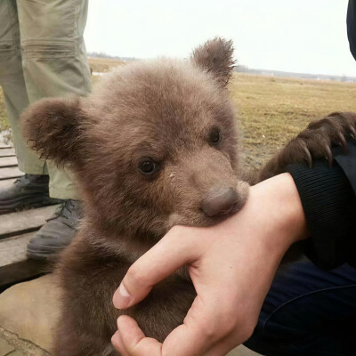 个人喜好 图源各处
侵删