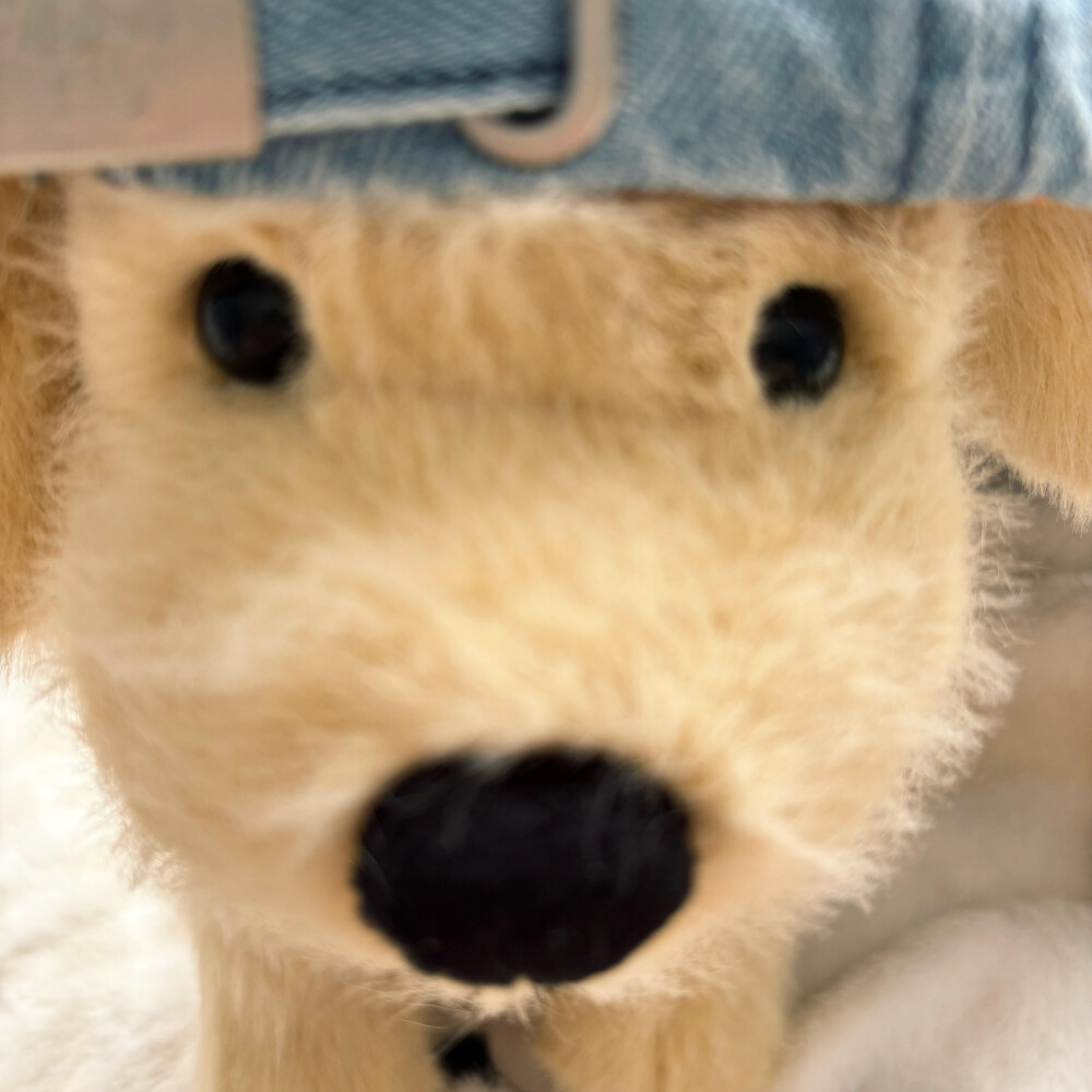 个人喜好 图源各处
侵删