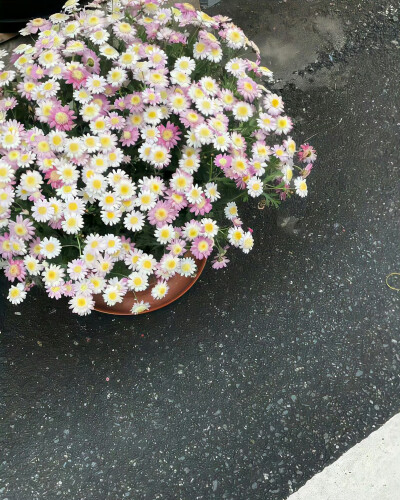 某年某月的某一天