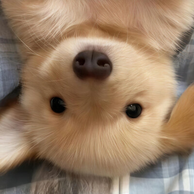 个人喜好 图源各处
侵删