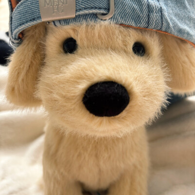 个人喜好 图源各处
侵删