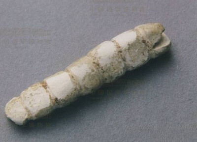 商代  玉蚕 安阳殷墟出土 
中国国家博物馆藏
