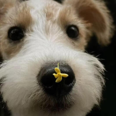 个人喜好 图源各处
侵删