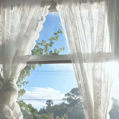 窗景背景图