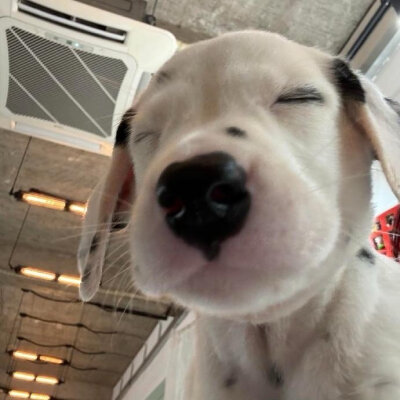 个人喜好 图源各处
侵删