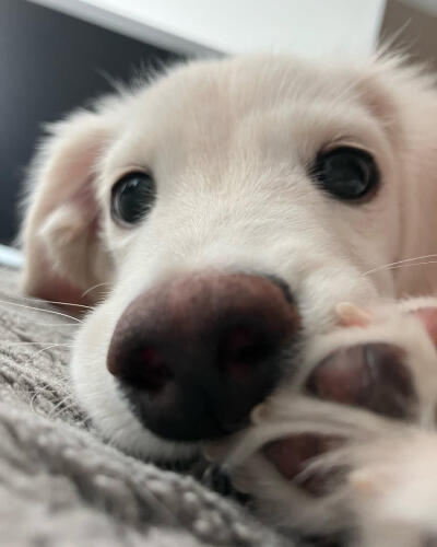 个人喜好 图源各处
侵删