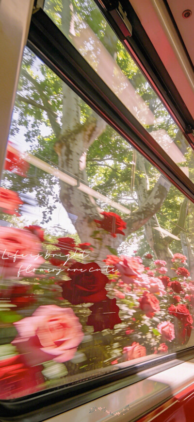 手机壁纸 平铺壁纸